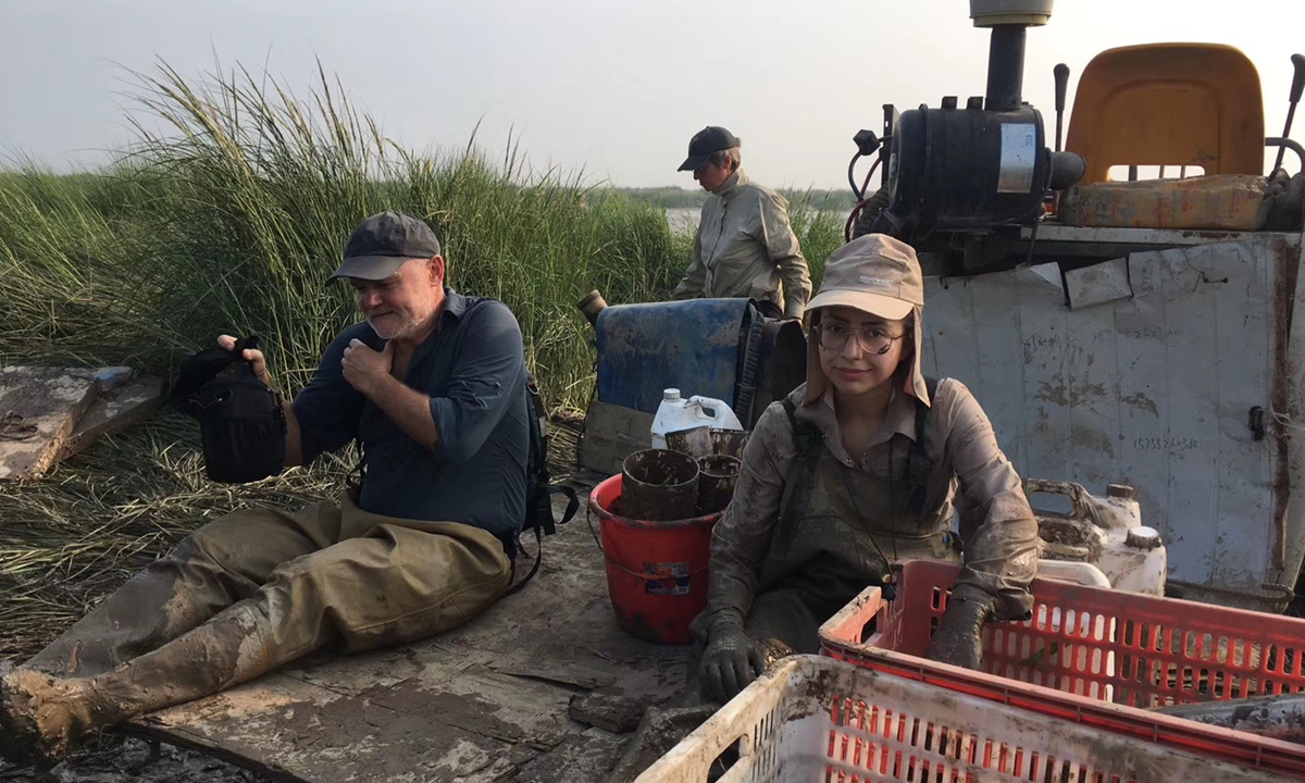 Chinese and Dutch scholars participate in a field trip on Chongming Island in suburban Shanghai. Photo: Courtesy of Institute of Estuarine and Coastal Research